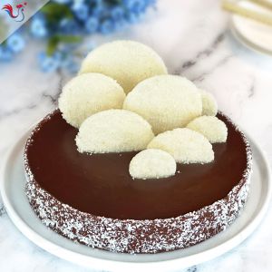 Recette Tarte Chocolat Noix de Coco (comme à Miami)