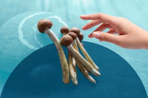 Recette What Happens to Your Depression Symptoms When You Include Mushrooms in Your Diet