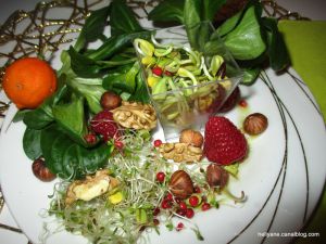 Recette Salade aux graines germées et aux fruits