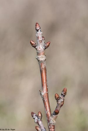 Recette Rétrospective 2025 & petits bonheurs