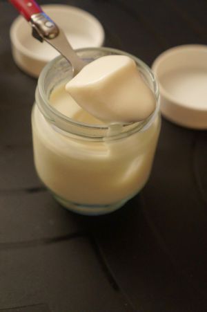 Recette Yaourts maison à la vanille (avec ferments lactiques onctueux de chez Alsa)