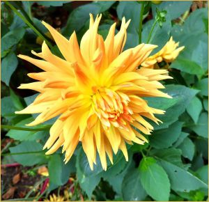 Recette Art Postal et Hommage