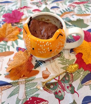Recette Mug cake au chocolat