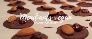 Recette Mendiants vegan amandes & cranberries