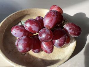 Recette Are Grapes Actually a Superfood? Here's What the Science Shows