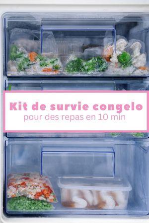 Recette Mon kit de survie du congélateur pour un dîner en 10 min chrono