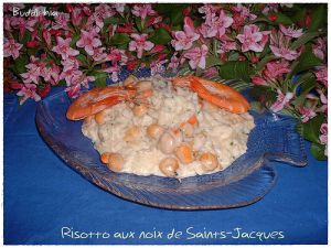 Recette Risotto aux noix de Saints-Jacques