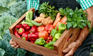 Recette 3 Gestes de pro pour garder vos légumes juteux et sauver les récoltes sous la canicule