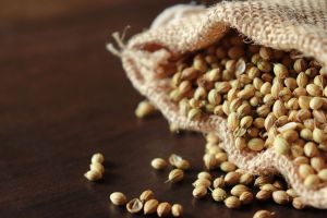 Recette 4 Science-Backed Benefits of Coriander (and How to Add It to Your Diet)