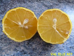 Recette Poulet au citron