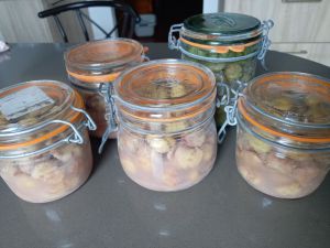 Recette Châtaignes au naturel