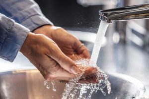 Recette Can You Catch Salmonella From Someone Else? What Science Says