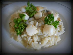 Recette Risotto aux noix de St Jacques