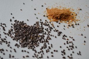Recette Verrines crémeuses au graines de Chia et coco