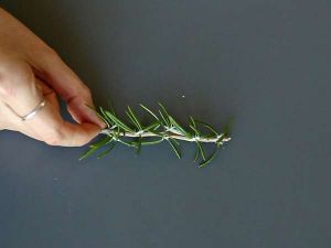 Recette Cocktail avec un sapin enneigé à l'intérieur