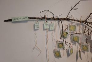 Recette Présentation des cases