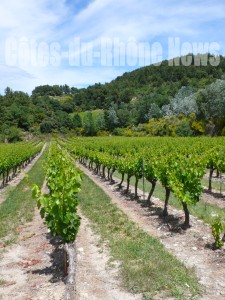 Recette Avis de naissance : un nouveau blog sur les vins des Côtes-du-Rhône