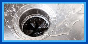 Recette Stop Putting This Down Your Garbage Disposal ASAP