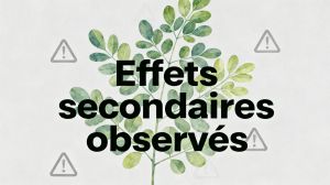 Recette Dangers du moringa : ce qu’il faut savoir