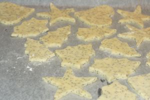 Recette Sablés Parmesan – Pavot