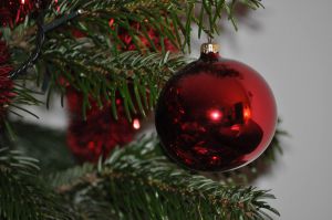 Recette Prêts pour la belle nuit de Noël ?