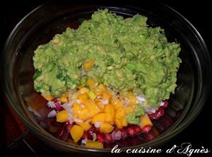 Recette Guacamole avocat mangue grenade