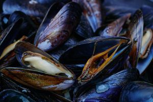 Recette Meilleurs endroits pour dénicher des moules vertes fraîches