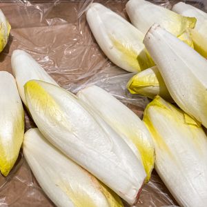 Recette L’endive : bienfaits, origines et idées pour la cuisiner
