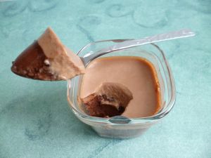 Recette Yaourts maison diététiques au cacao avec Cacticia et stévia (sans sucre)