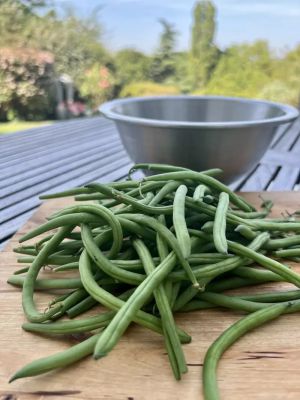 Recette Salade de haricots verts à la sauce au thon