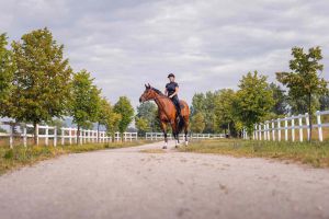 Recette Cheval : comment bien choisir son matériel d’équitation ?