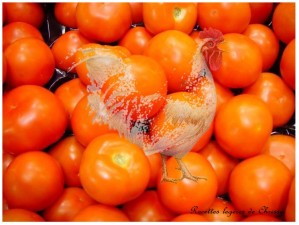 Recette Cuisse de poulet a la compotee tomates oignons