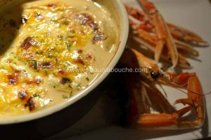 Recette Soupe Gratinée De Langoustines