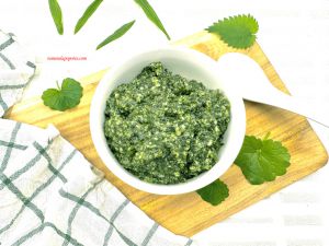 Recette Pesto orties, plantain, lierre terrestre