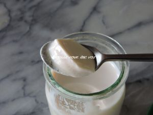 Recette Yaourts au lait de soja maison (ig bas)