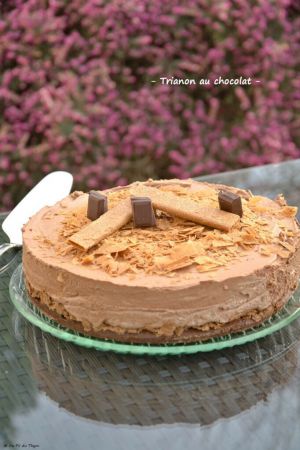 Recette Trianon au chocolat