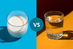 Recette Which Is More Hydrating—Milk or Water?