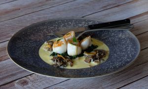 Recette Saint-Jacques sauce clémentine, girolles grises et épinards