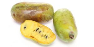 Recette This Midwestern Fruit Tastes Just Like Banana Pudding