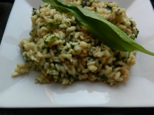 Recette Risotto à l'ail des ours