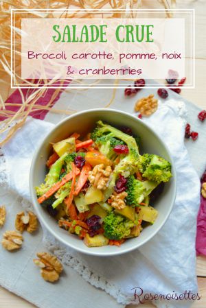 Recette Salade crue au brocoli, carotte, pomme, noix et cranberries (végane)