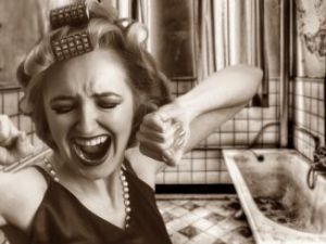 Recette Nettoyeur vapeur utile ou gadget selon votre maison