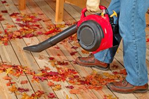 Recette Surprise sur Amazon : ce souffleur de feuilles Bosch explose les ventes, on comprend pourquoi