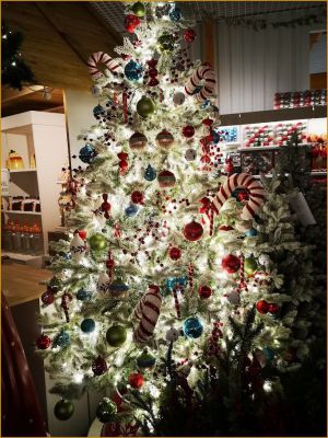 Recette Sapins de Noël 2025