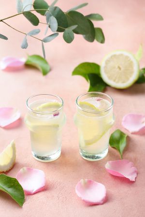 Recette Boissons fraîches maison : Douze recettes d’été