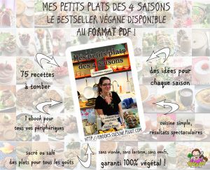 Recette L’e-book Mes Petits Plats des 4 Saisons {75 recettes véganes} disponible au format pdf