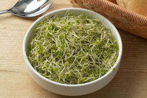 Recette What Happens to Your Body When You Eat Broccoli Sprouts Regularly
