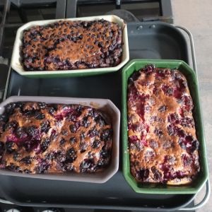 Recette Clafoutis aux fruits avec le COMBI NINJA