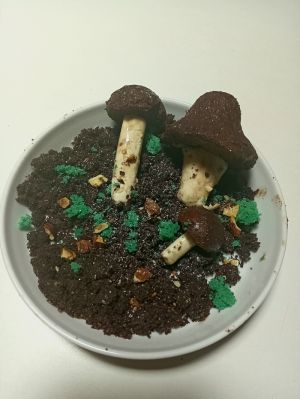 Recette Champignons tout chocolat par Didier de Winne