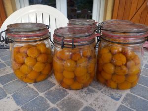 Recette Mirabelles stérilisées au naturel